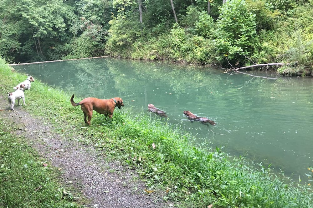 Photo of Others in Hot Springs