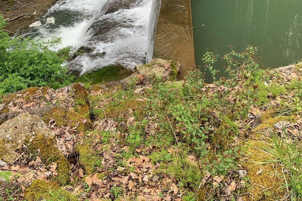 Photo of Others in Hot Springs