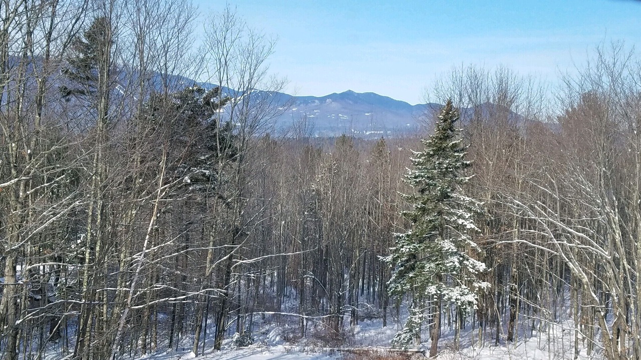 Photo of Others in Stowe Hollow