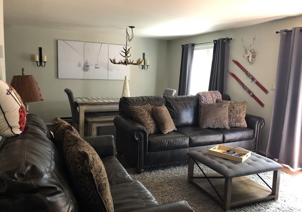 Photo of Livingroom in North Creek