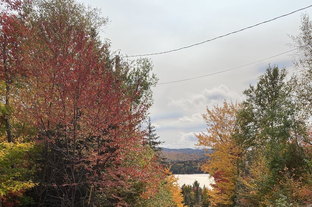 Photo of Others in Rangeley