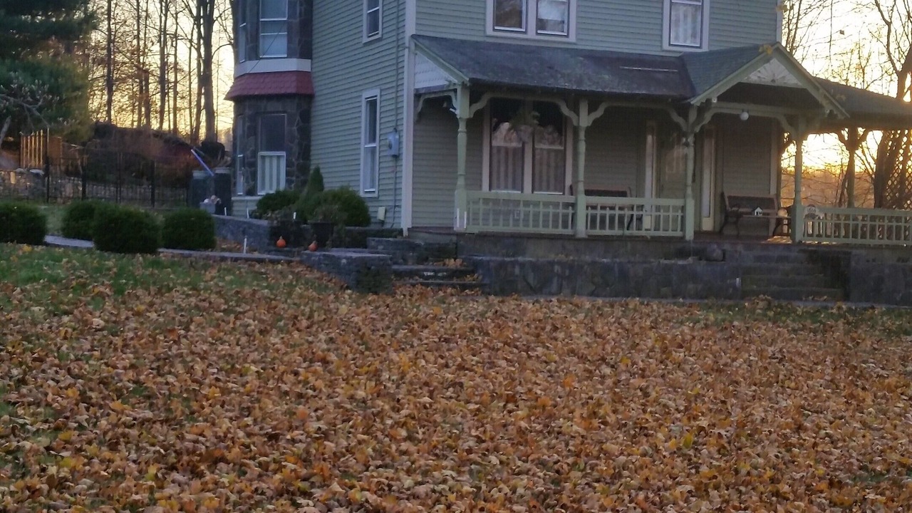 Photo of Outdoor in Clintondale