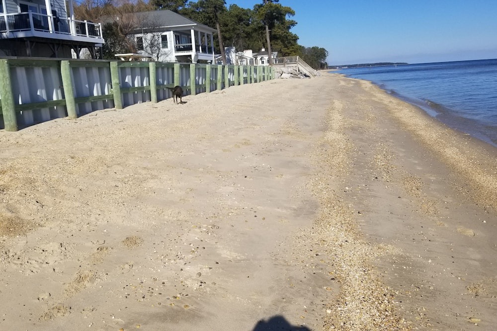 Photo of Others in Point Lookout