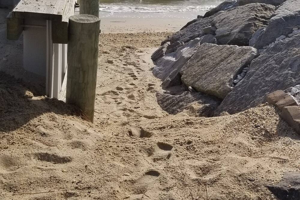 Photo of Outdoor in Point Lookout