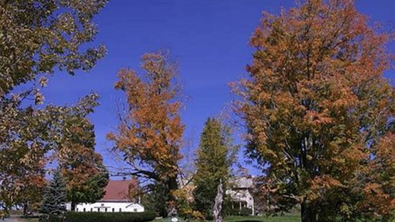 Photo of Outdoor in Margaretville