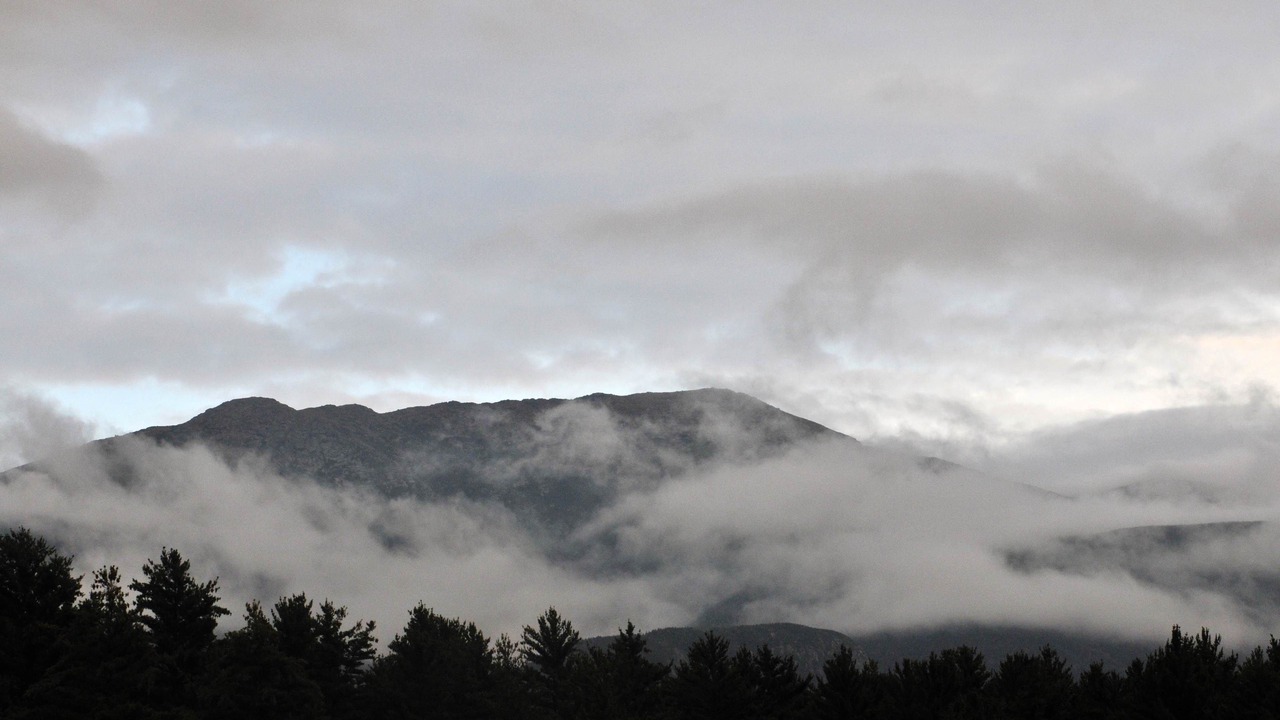 Photo of Others in Franconia