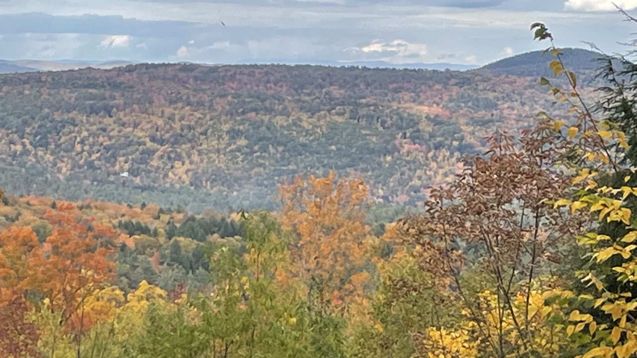 Photo of Others in East Dover
