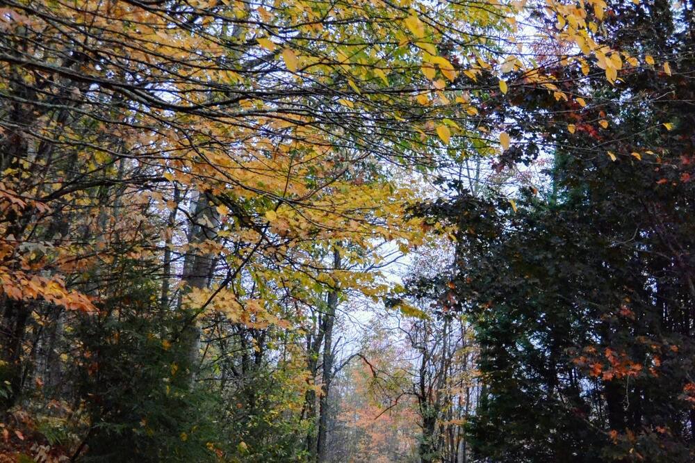 Photo of Outdoor in Jefferson