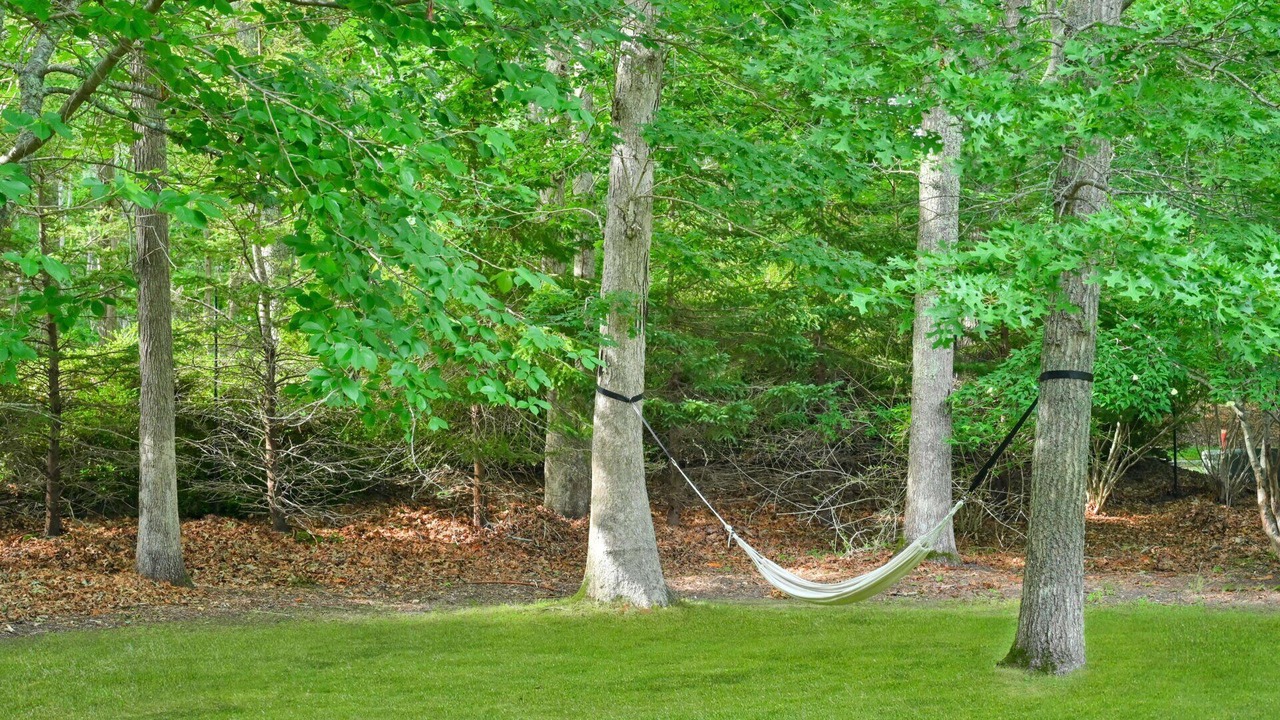 Photo of Outdoor in Sagaponack