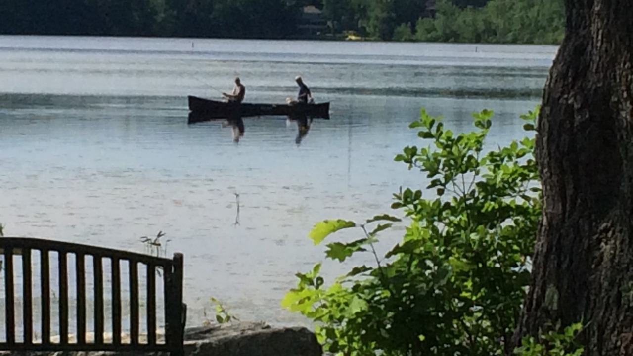 Photo of Others in Northwood