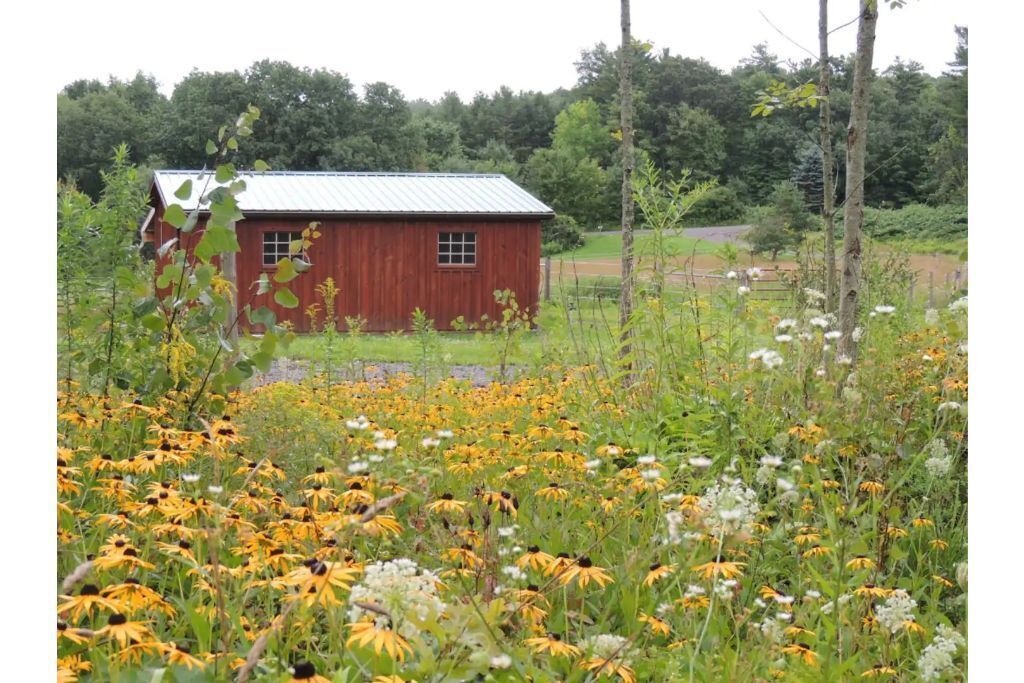 Photo of Outdoor in Owego