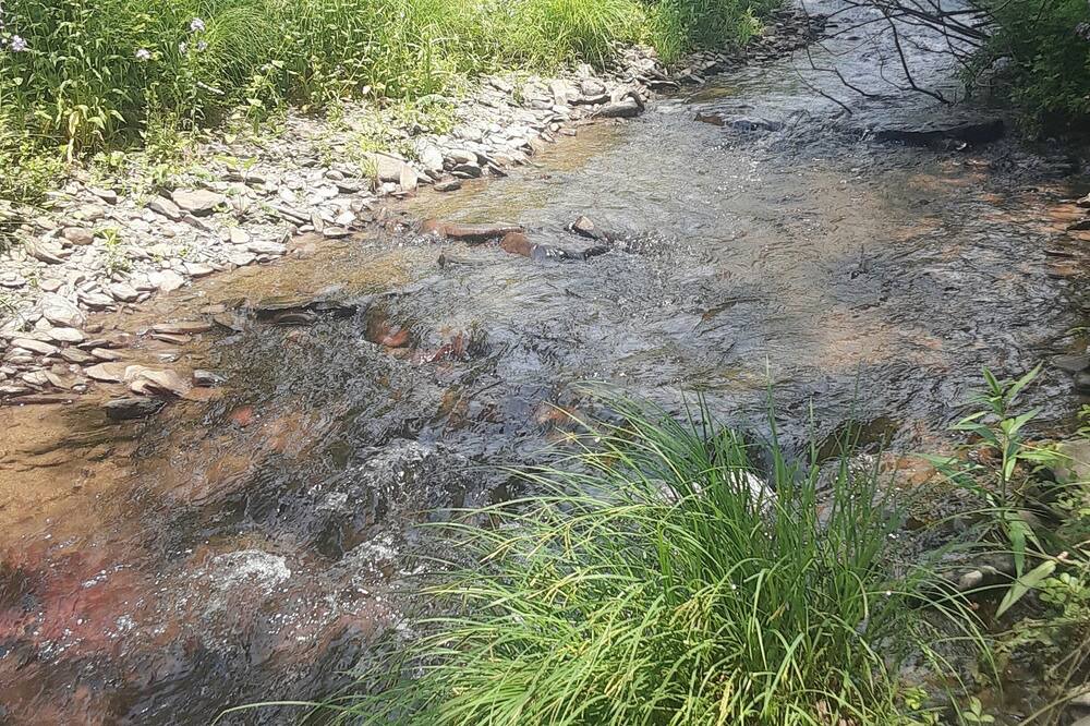 Photo of Outdoor in Morris