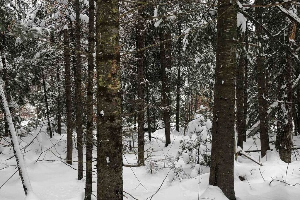 Photo of Others in Johnsburg