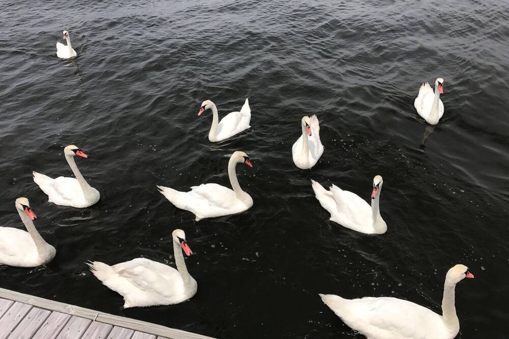 Photo of Others in Cherry Grove