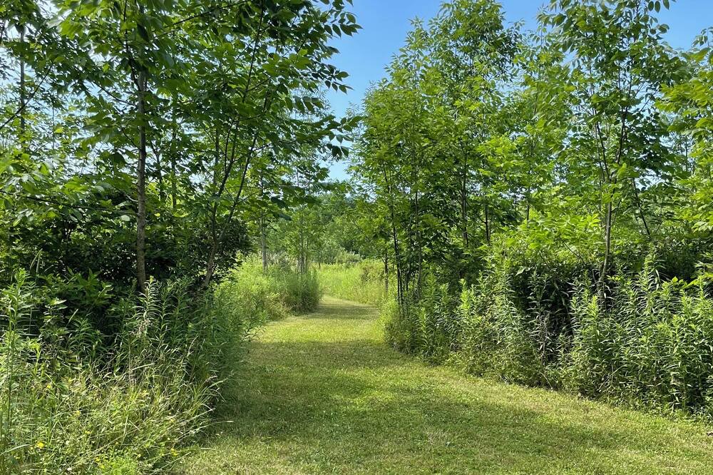 Photo of Outdoor in Dansville