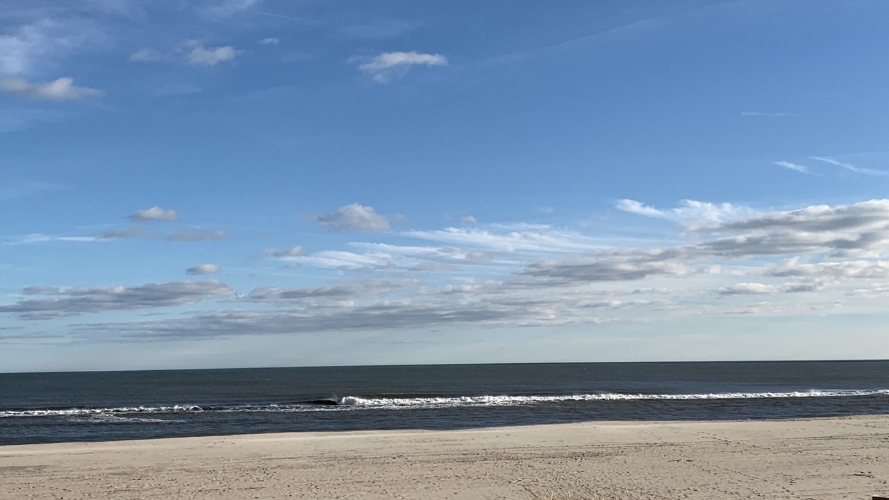 Photo of Others in Surf City