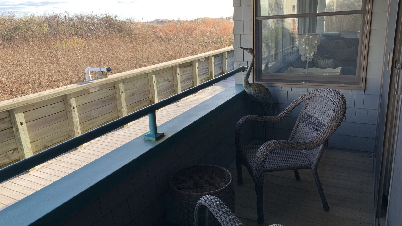 Photo of Outdoor in Surf City