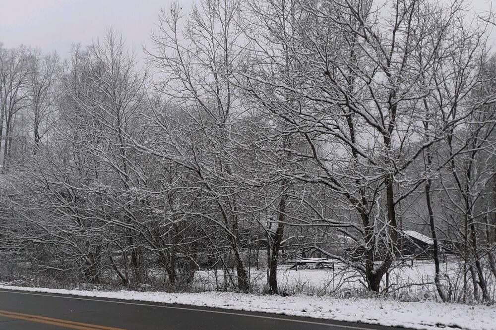 Photo of Others in Gandeeville