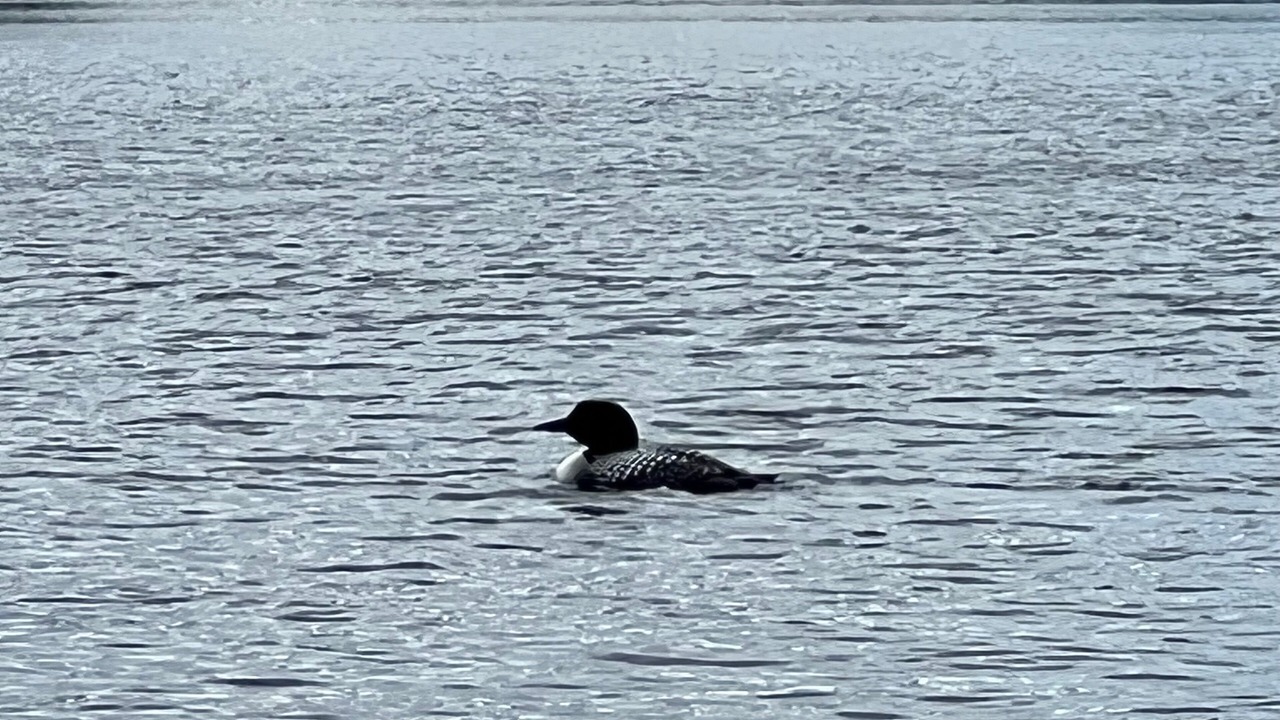 Photo of Others in Wilmington