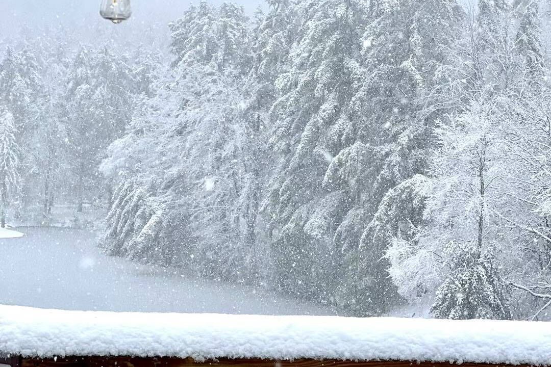 Photo of Others in Oneonta