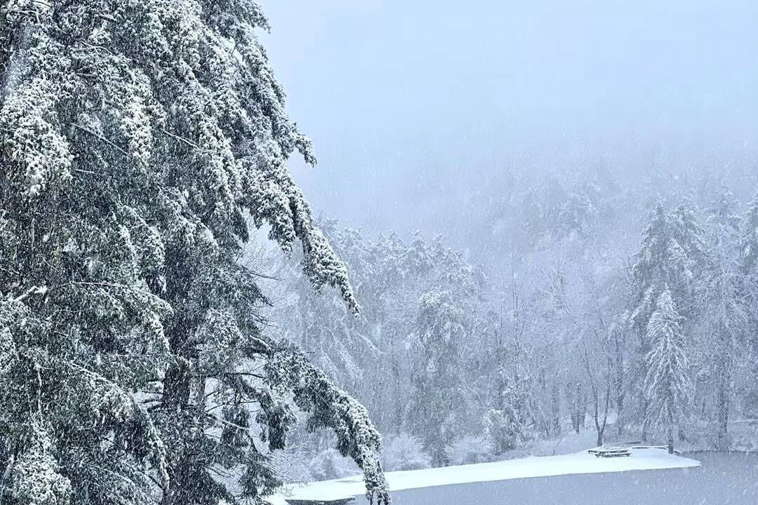 Photo of Others in Oneonta