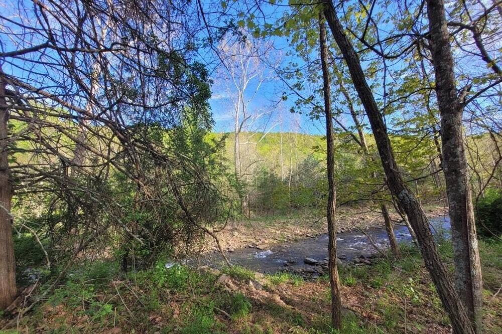Photo of Others in Fulks Run