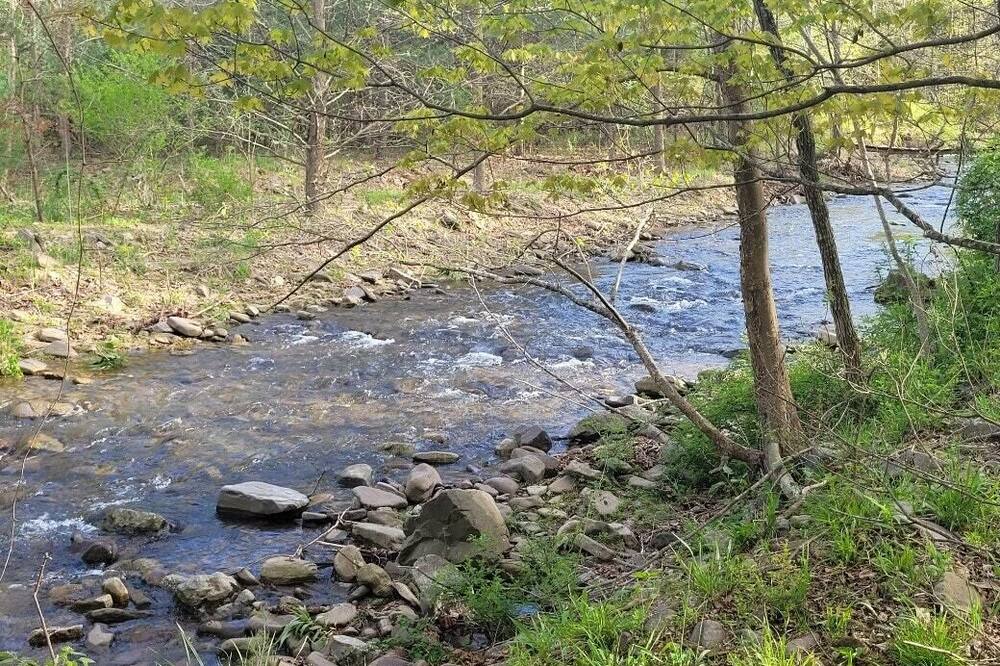 Photo of Others in Fulks Run
