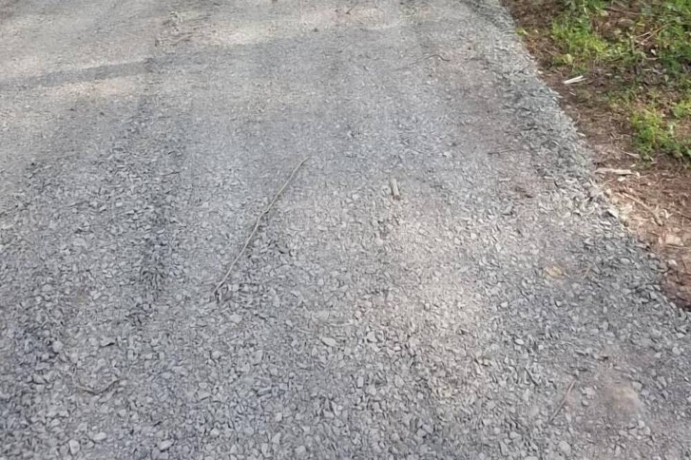Photo of Others in Fulks Run