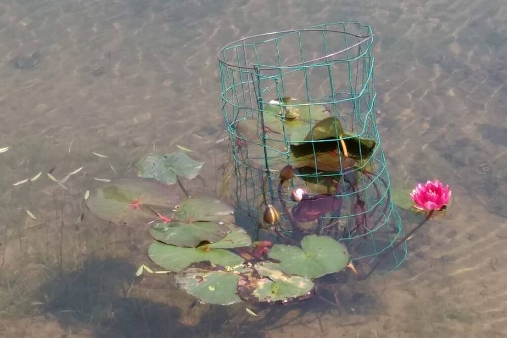 Photo of Others in Ripley