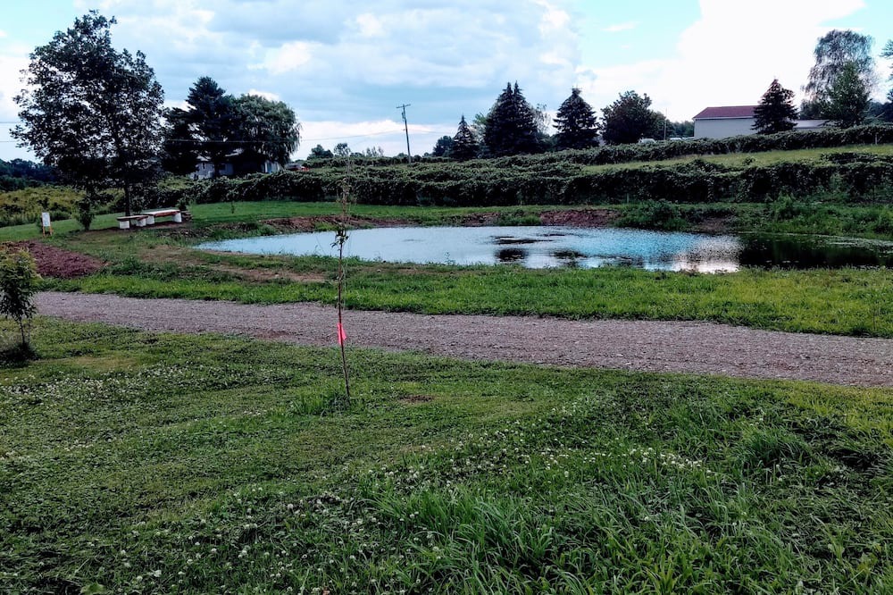 Photo of Outdoor in Ripley