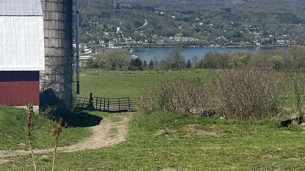 Photo of Outdoor in Montour Falls