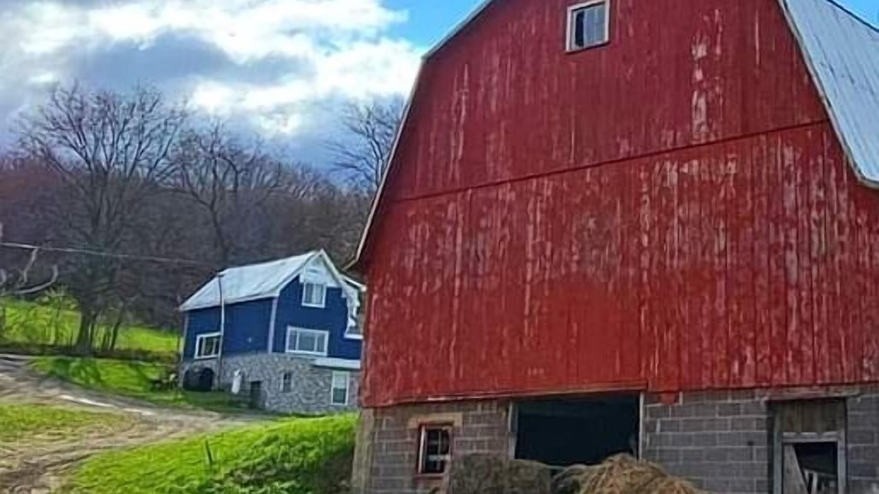 Photo of Others in Montour Falls