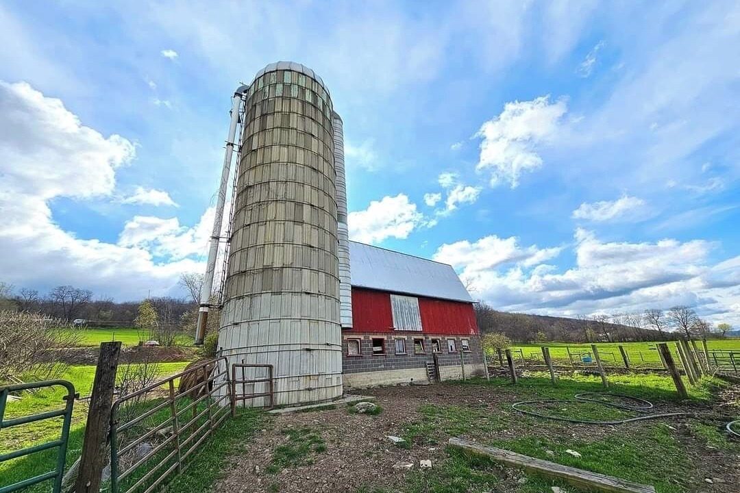 Photo of Outdoor in Montour Falls
