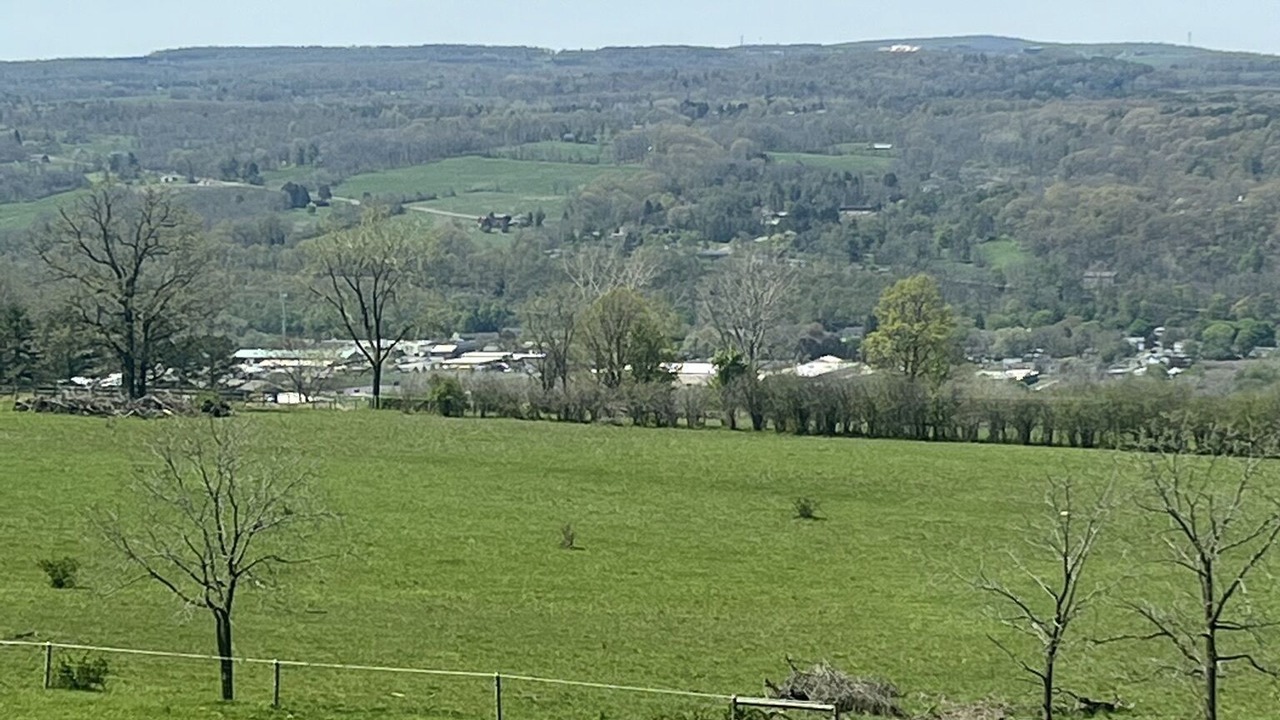 Photo of Others in Montour Falls