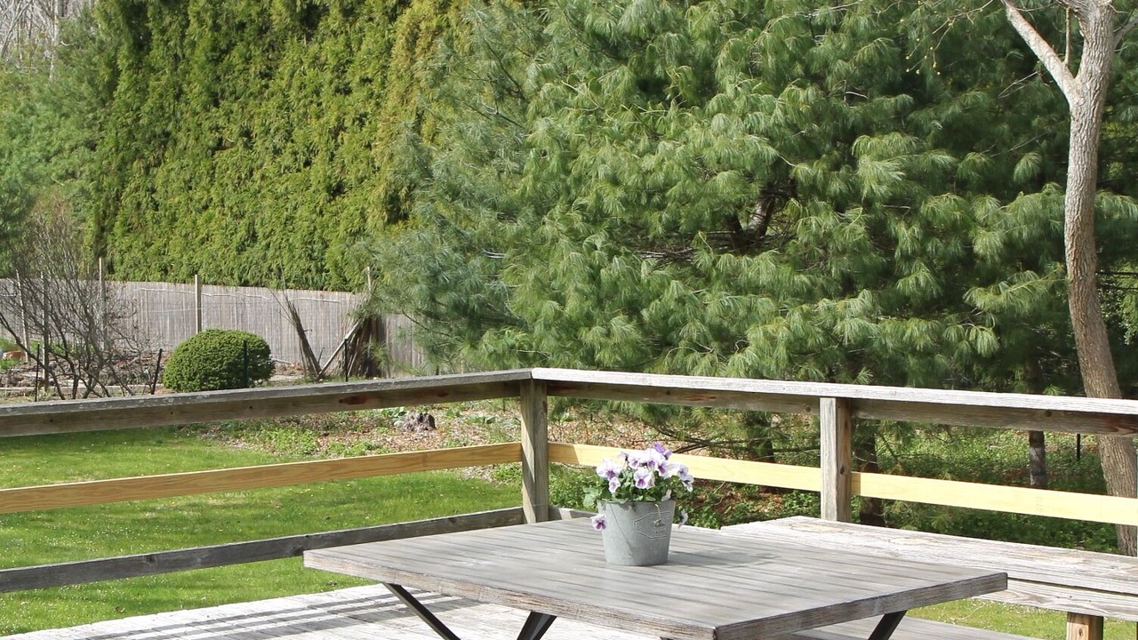 Photo of Outdoor in Springs