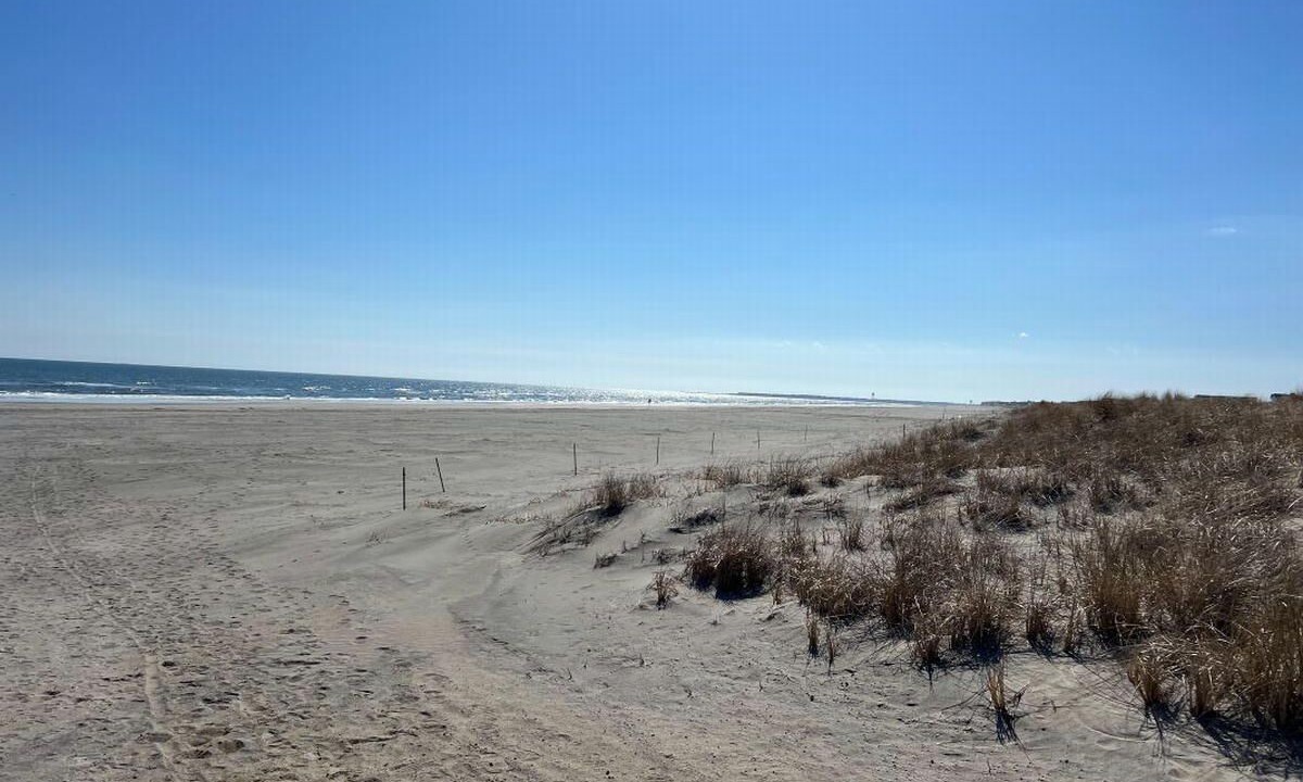 Photo of Others in Sea Isle City