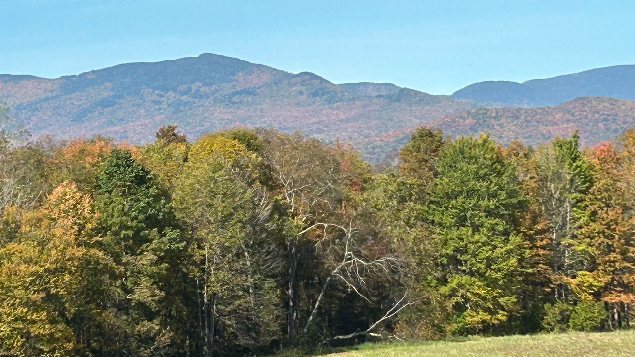 Photo of Outdoor in Waterbury Center