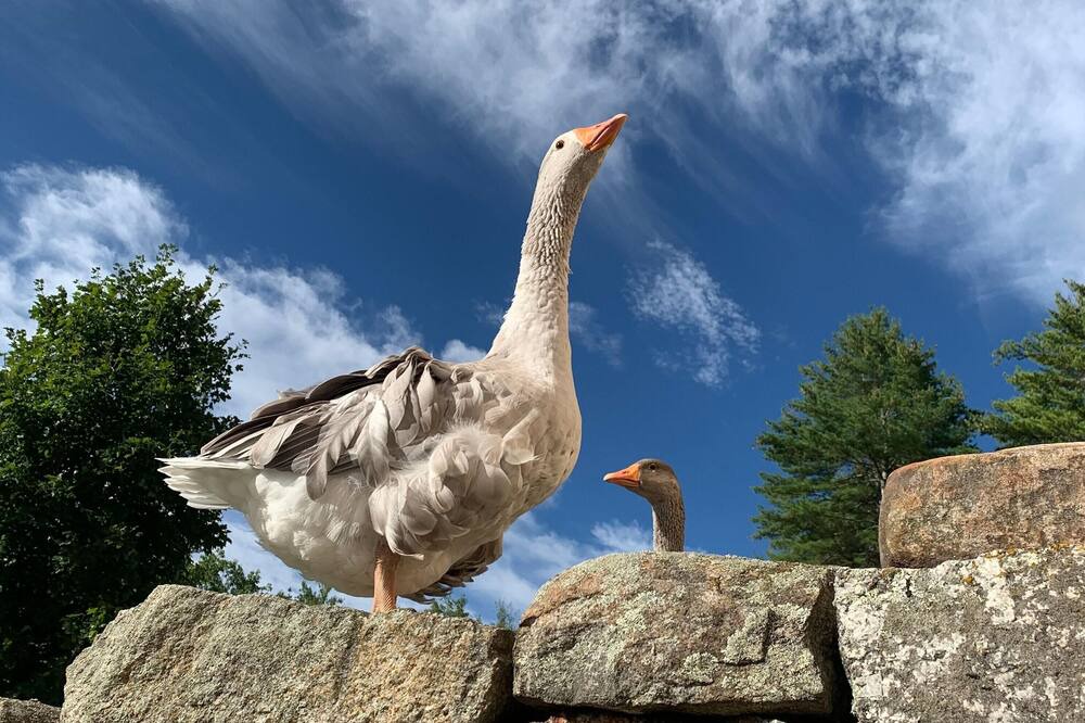 Photo of Others in Warner