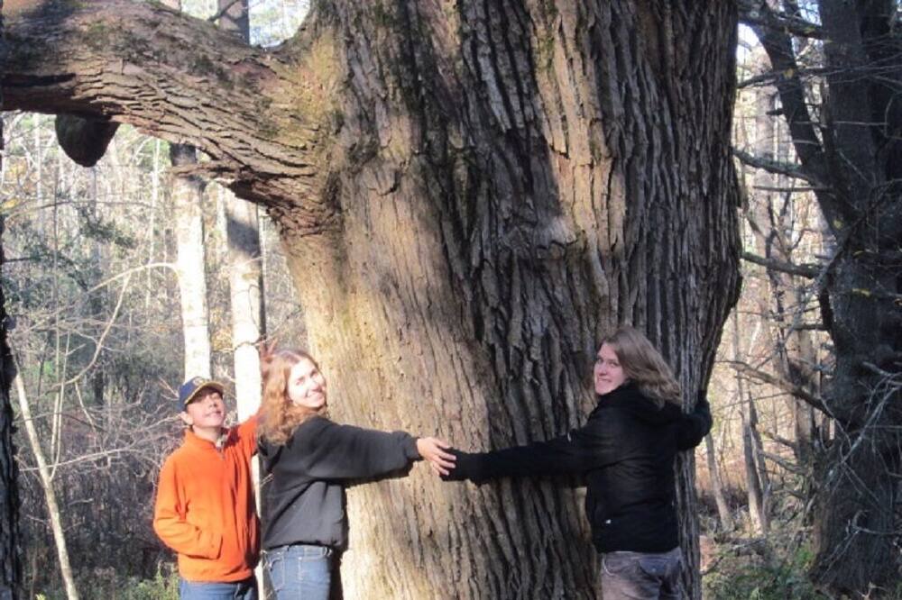 Photo of Others in Milford