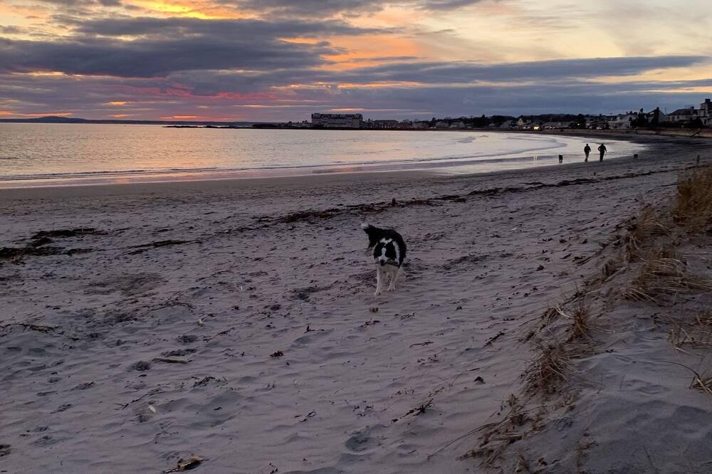 Photo of Others in Kennebunk