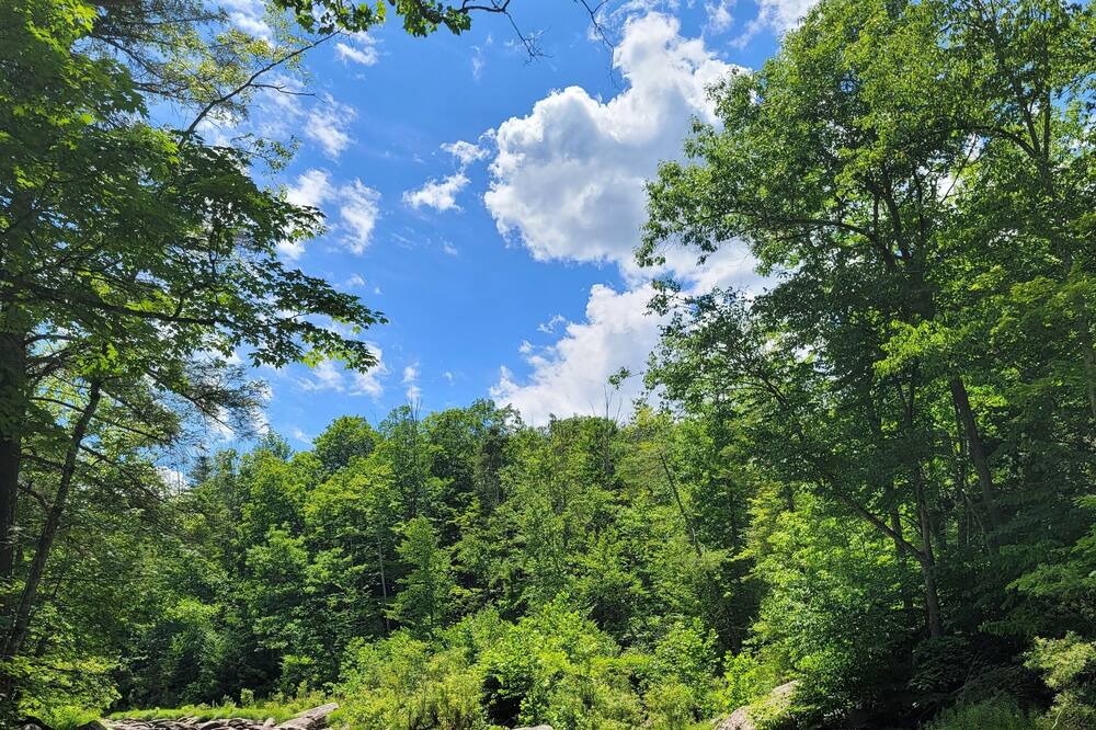 Photo of Outdoor in Phoenicia