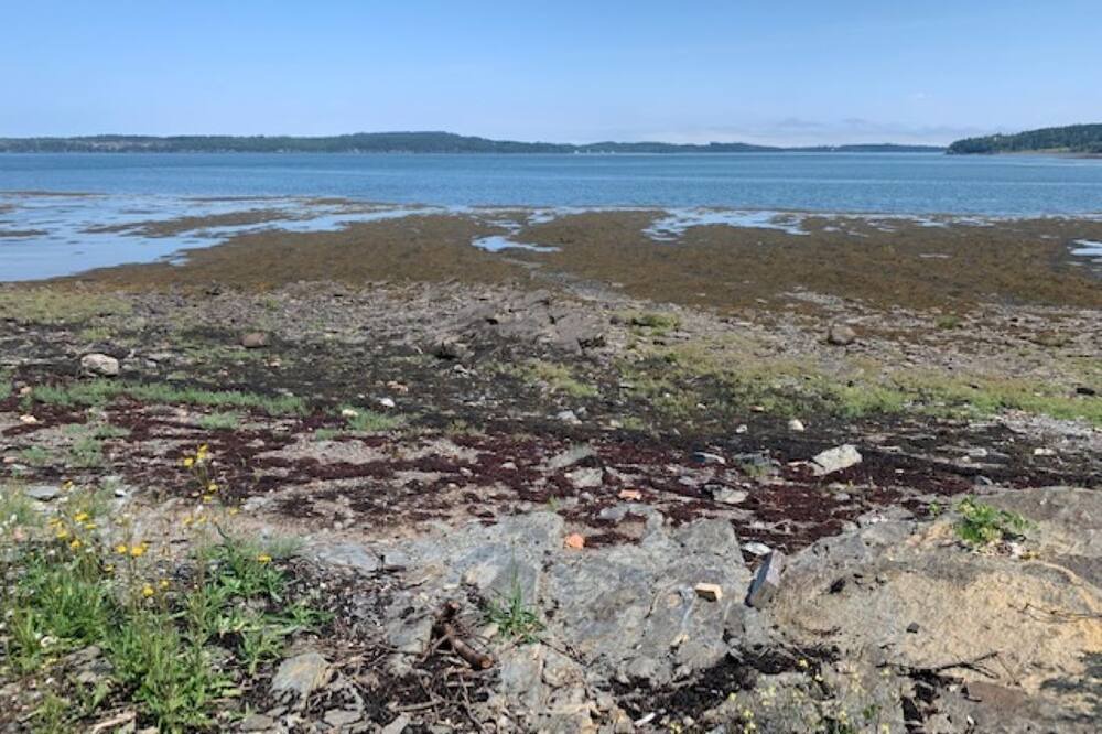 Photo of Others in Eastport