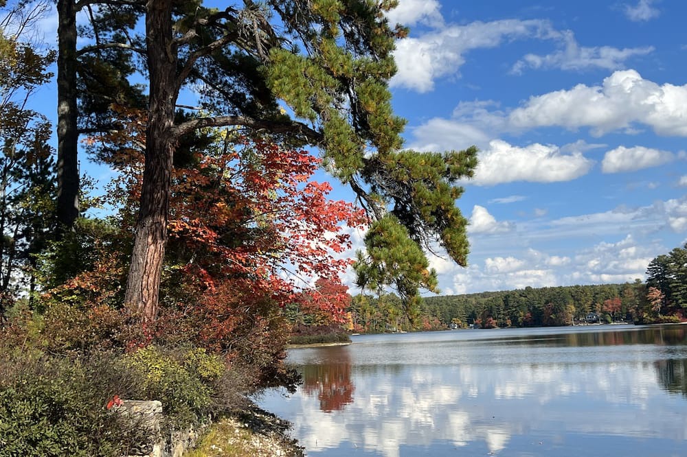 Photo of Outdoor in Wakefield