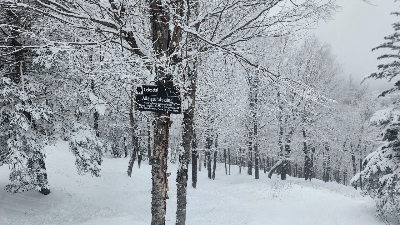 Photo of Others in Bethel