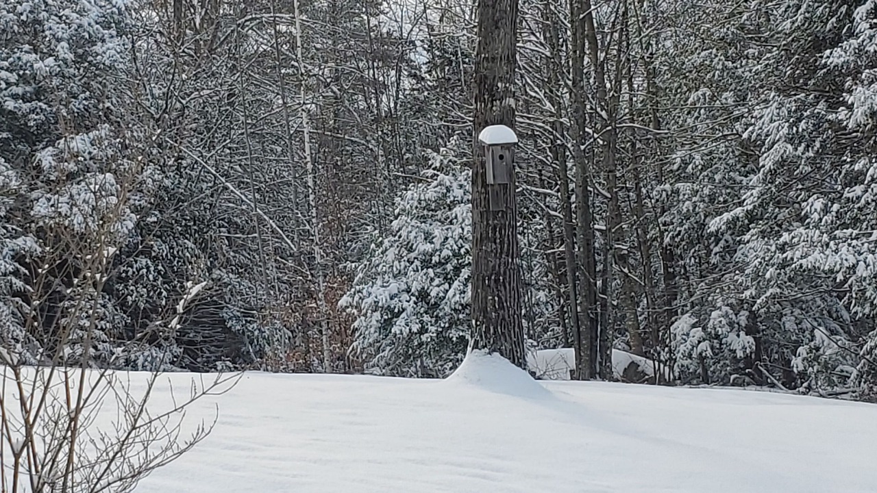 Photo of Others in Bethel