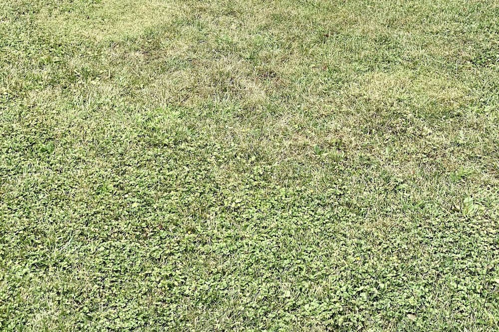 Photo of Outdoor in Glen Dale