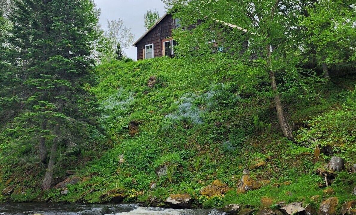 Photo of Outdoor in Clarksville