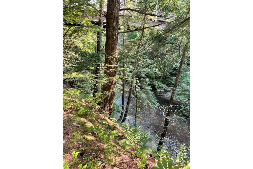 Photo of Outdoor in Saratoga Springs