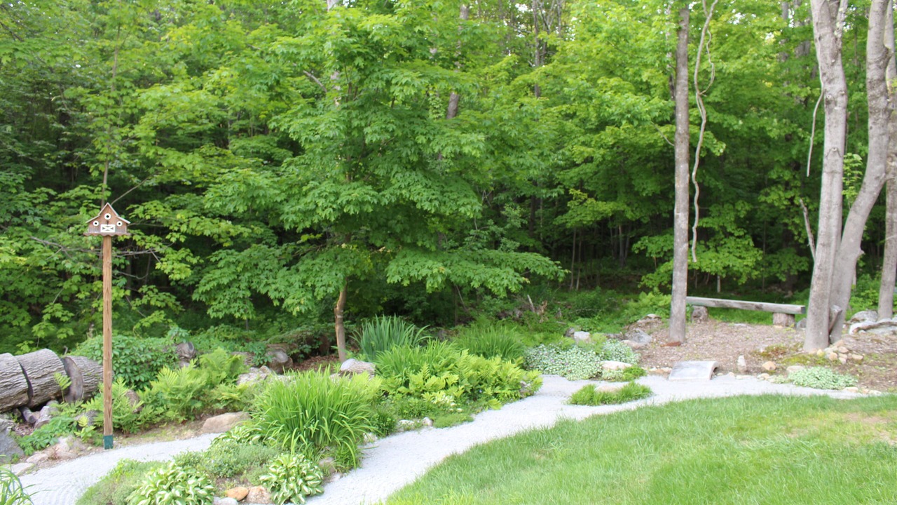 Photo of Outdoor in Meredith