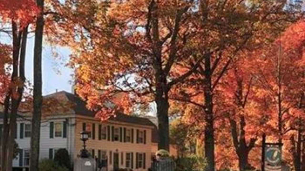 Photo of Outdoor in Manchester Center